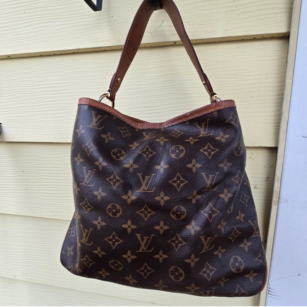 Louis Vuitton Monogram Delightful PM - Authentic - 2015